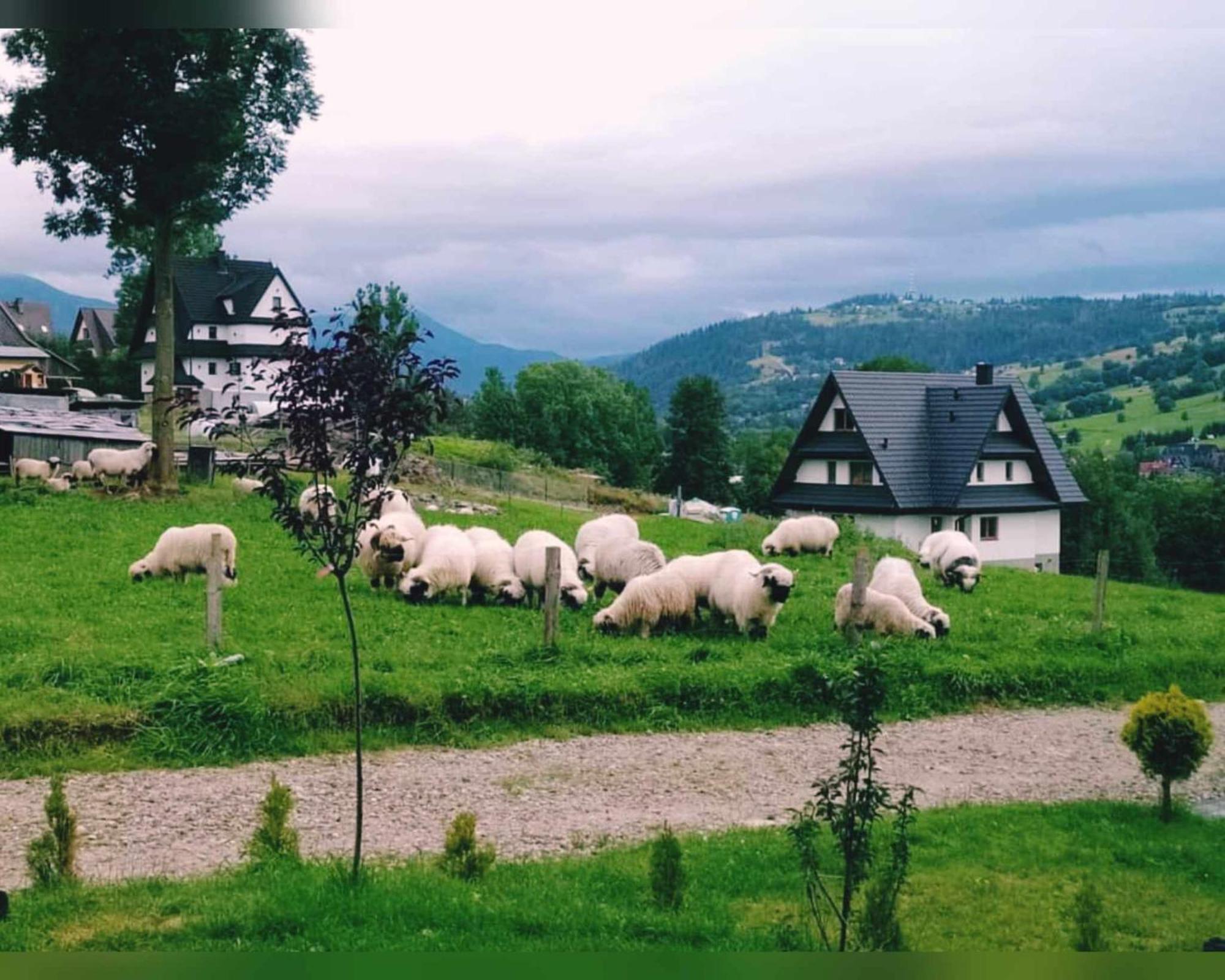 Na Brzyzku - W Gorach Z Balia Z Jacuzzi Ferienhaus